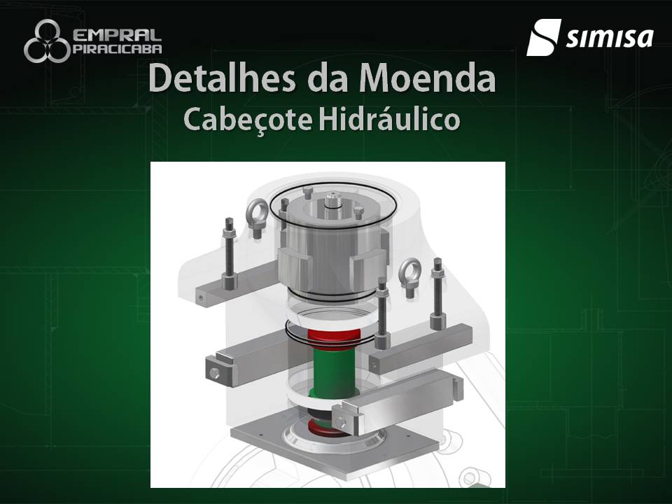 Seminário Brasileiro Agroindustrial - Slide 19